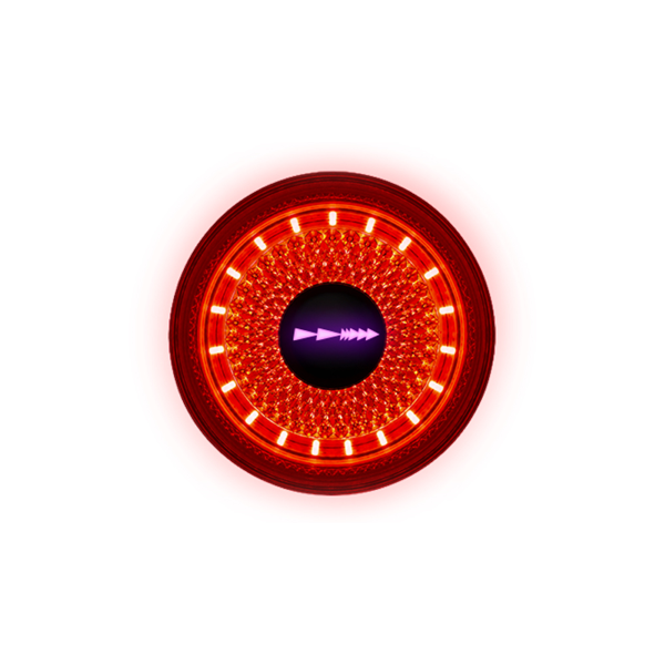 Lumière arrière LYTE 100 lumens Dynamic