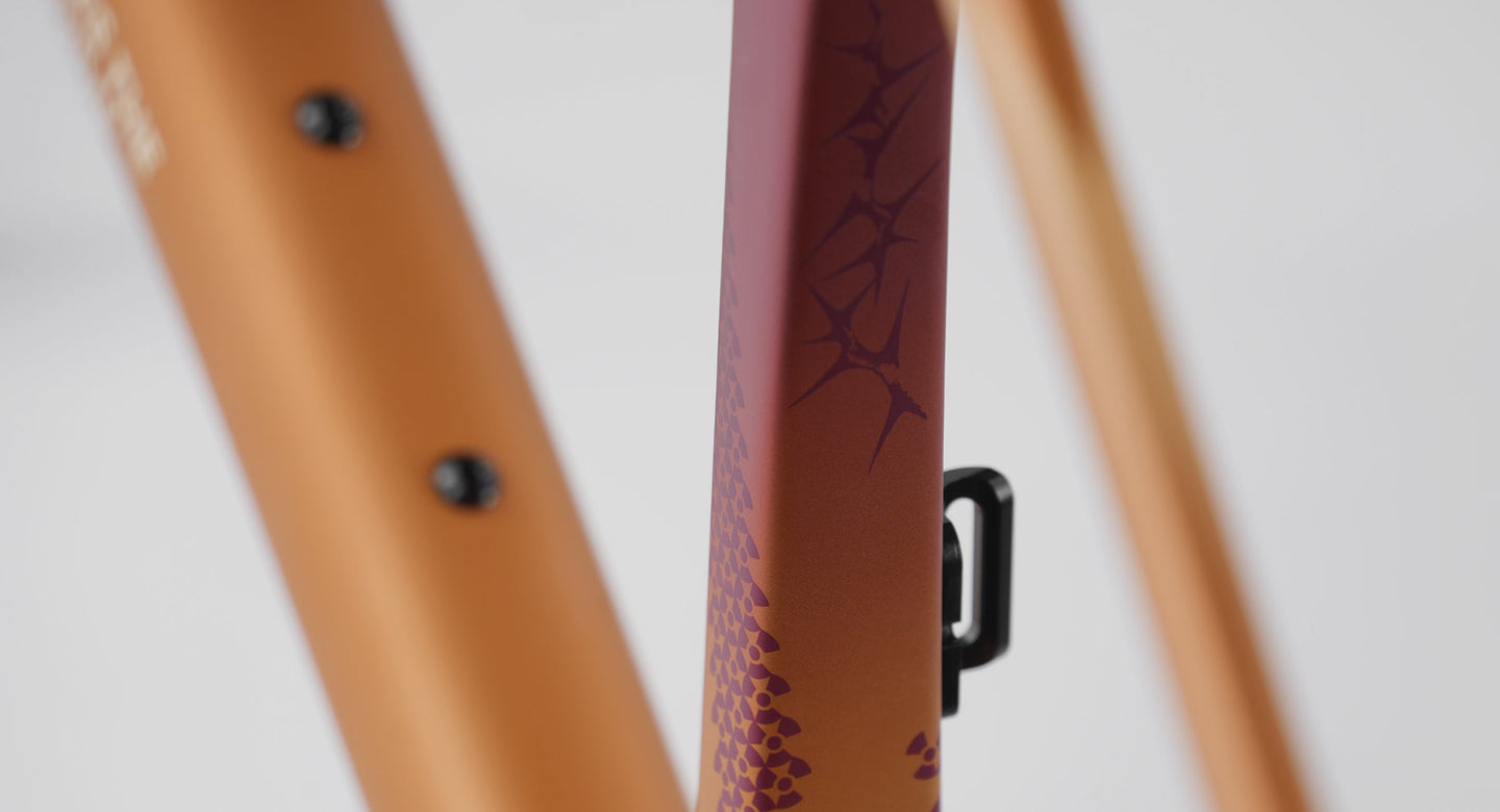 evolve® CIMA Artist Wilderness Kit Cadre Route Carbone - Peloton GP