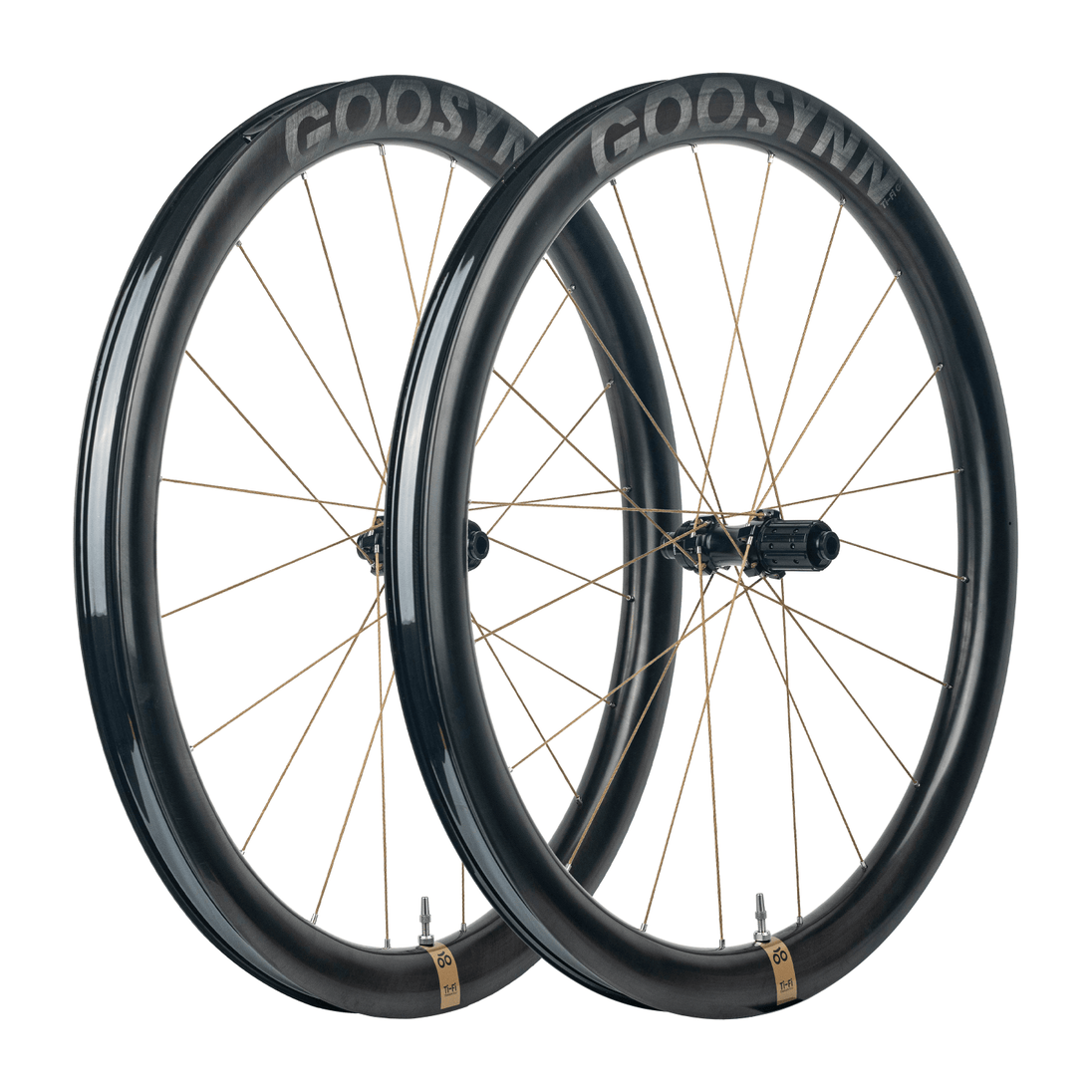 Paire de roues à disques Ti - Fi G45 - GOOSYNN - Peloton GP