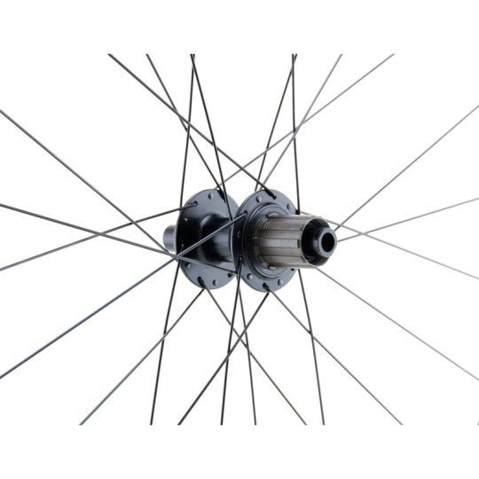 Roue Arrière 700C Gravel Double Paroi Disque CL 12x142 -LRT - Peloton GP