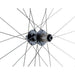 Roue Arrière 700C Gravel Double Paroi Disque CL 12x142 -LRT - Peloton GP