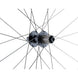 Roue Arrière 700C Gravel Double Paroi Disque CL 12x142 -LRT - Peloton GP