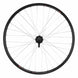 Roue arrière VTC 6 trous à cassette 9/10/11v - VELOX - Peloton GP