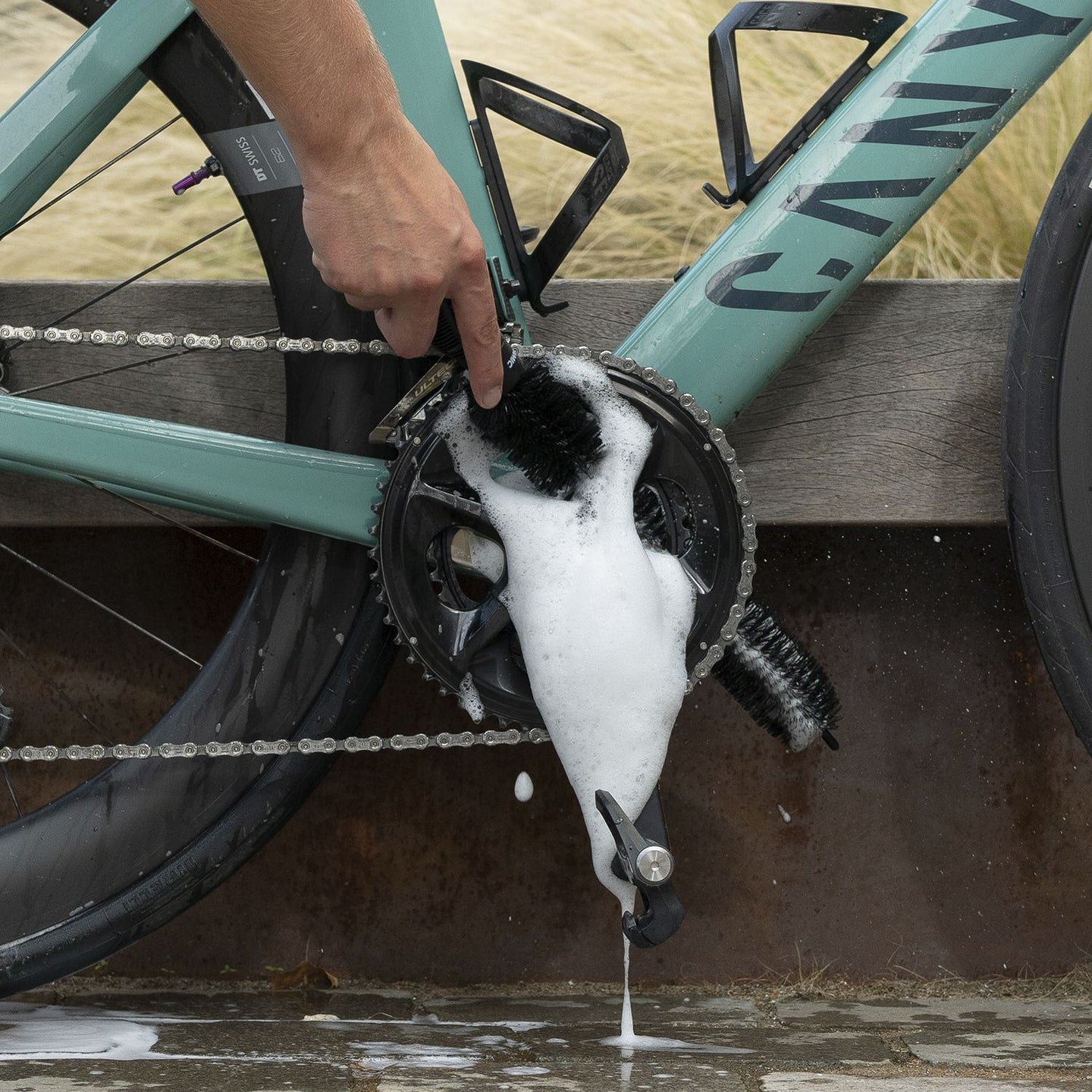 So Long Brush - Dynamic - Peloton GP