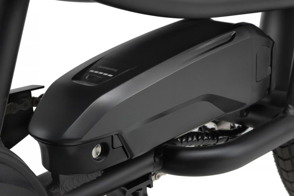 Vae cargo HAPPY WAGON noir - CREME - Peloton GP