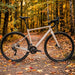 Vélo Gravel Superior GA 9.1 – Carbone – Shimano CUES 2x11V - Peloton GP