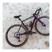 VÉLO GRAVEL SUPERIOR X - ROAD 9.7 GR – CARBONE – GRX RX820 – 12V – DT SWISS GR 1600 - Peloton GP