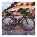 VÉLO GRAVEL SUPERIOR X - ROAD 9.7 GR – CARBONE – GRX RX820 – 12V – DT SWISS GR 1600 - Peloton GP